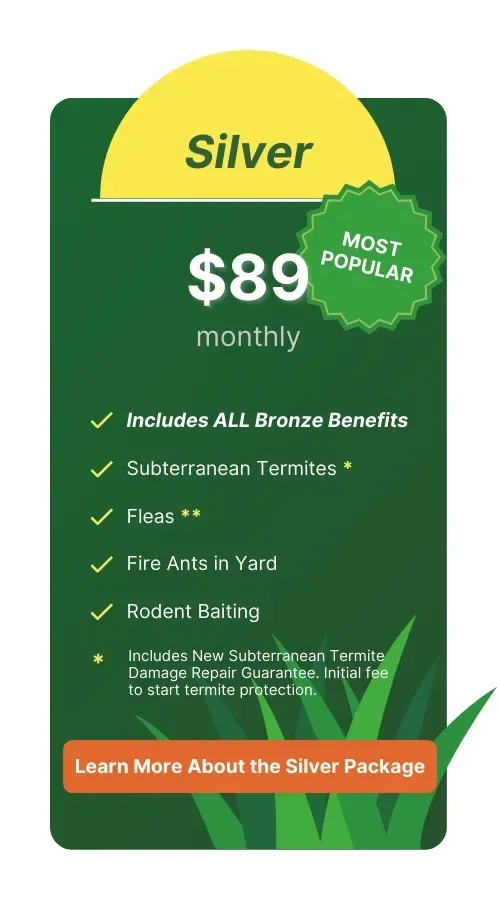 Expert Pest Control in Gainesville, Alachua & Newberry, FL The